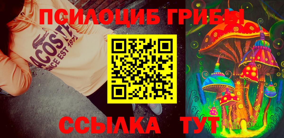 Галлюциногенные грибы Psilocybe Камышлов