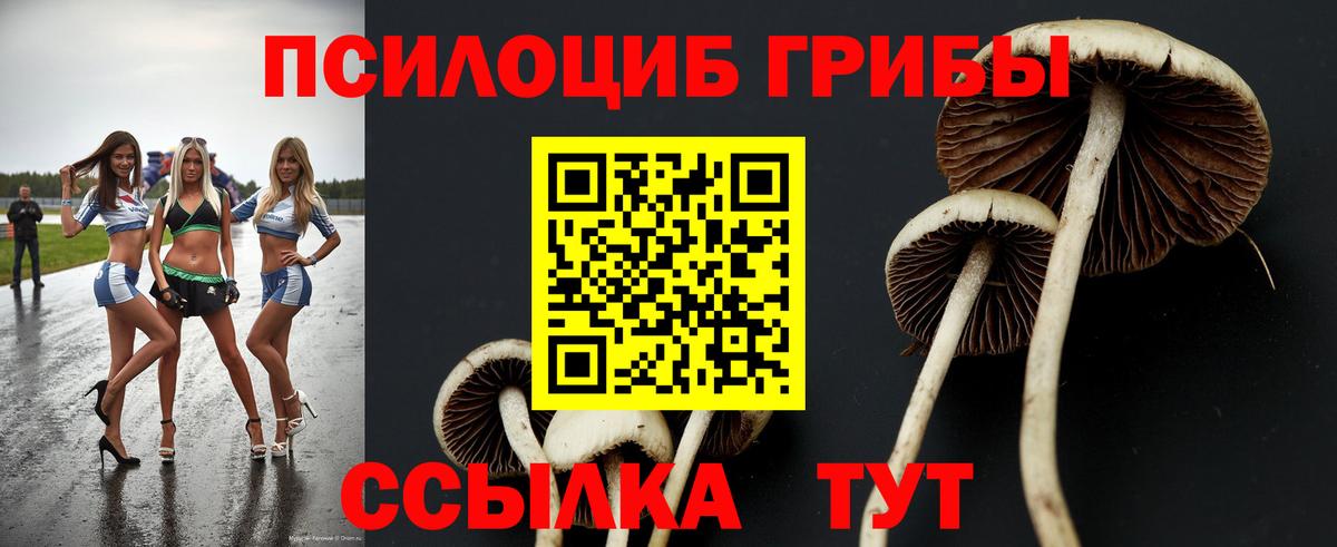 Галлюциногенные грибы GOLDEN TEACHER  Вход с VPN  Камышлов 